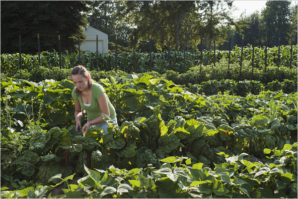 Alexandra Rau works in her garden